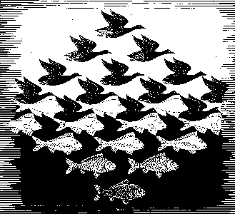 transformaci�n