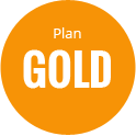 plan gold creador de sitios