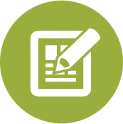 informe de metatags